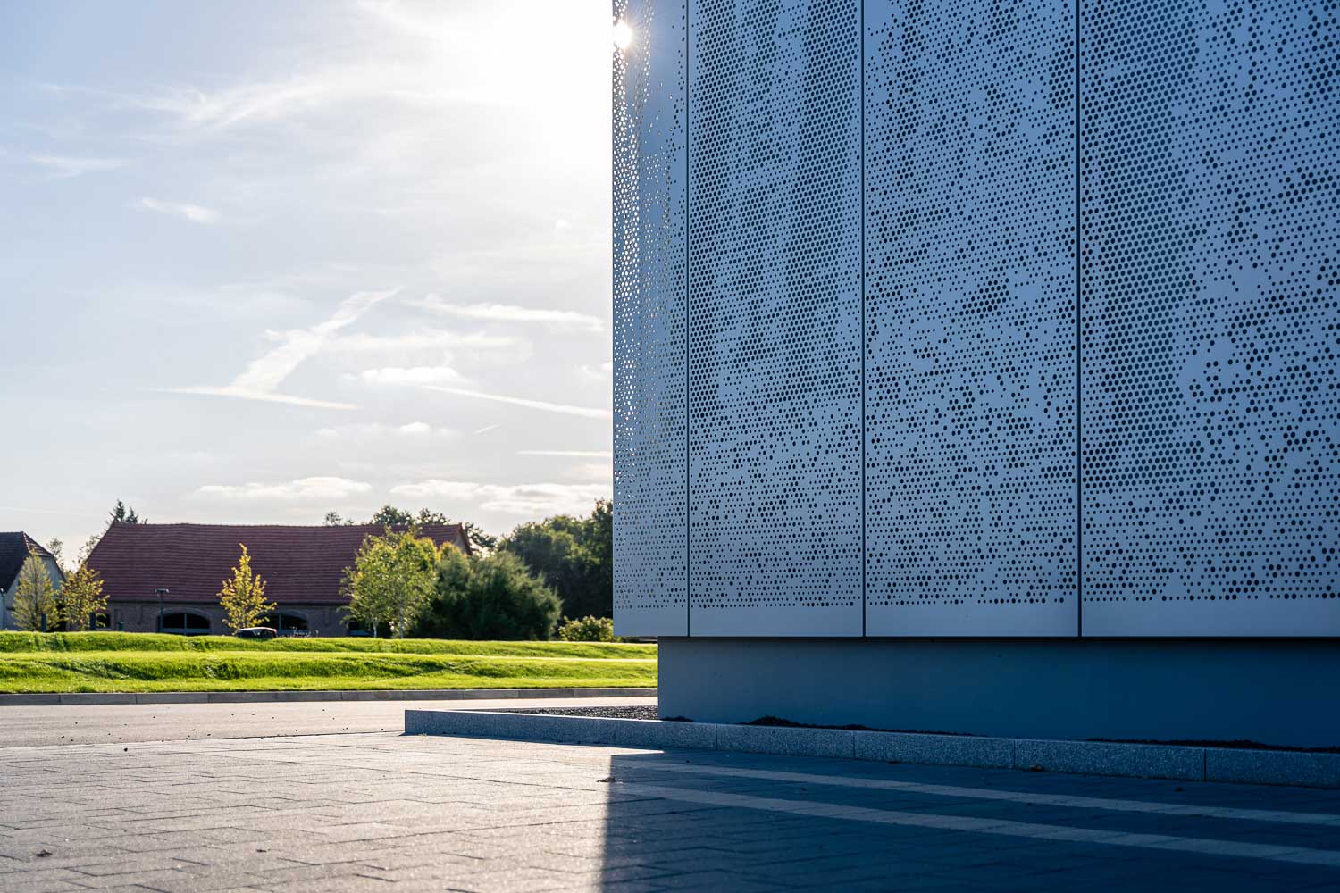 Innovative Lochblechwand im Tageslicht Lochblechwand mit Waldmotiv